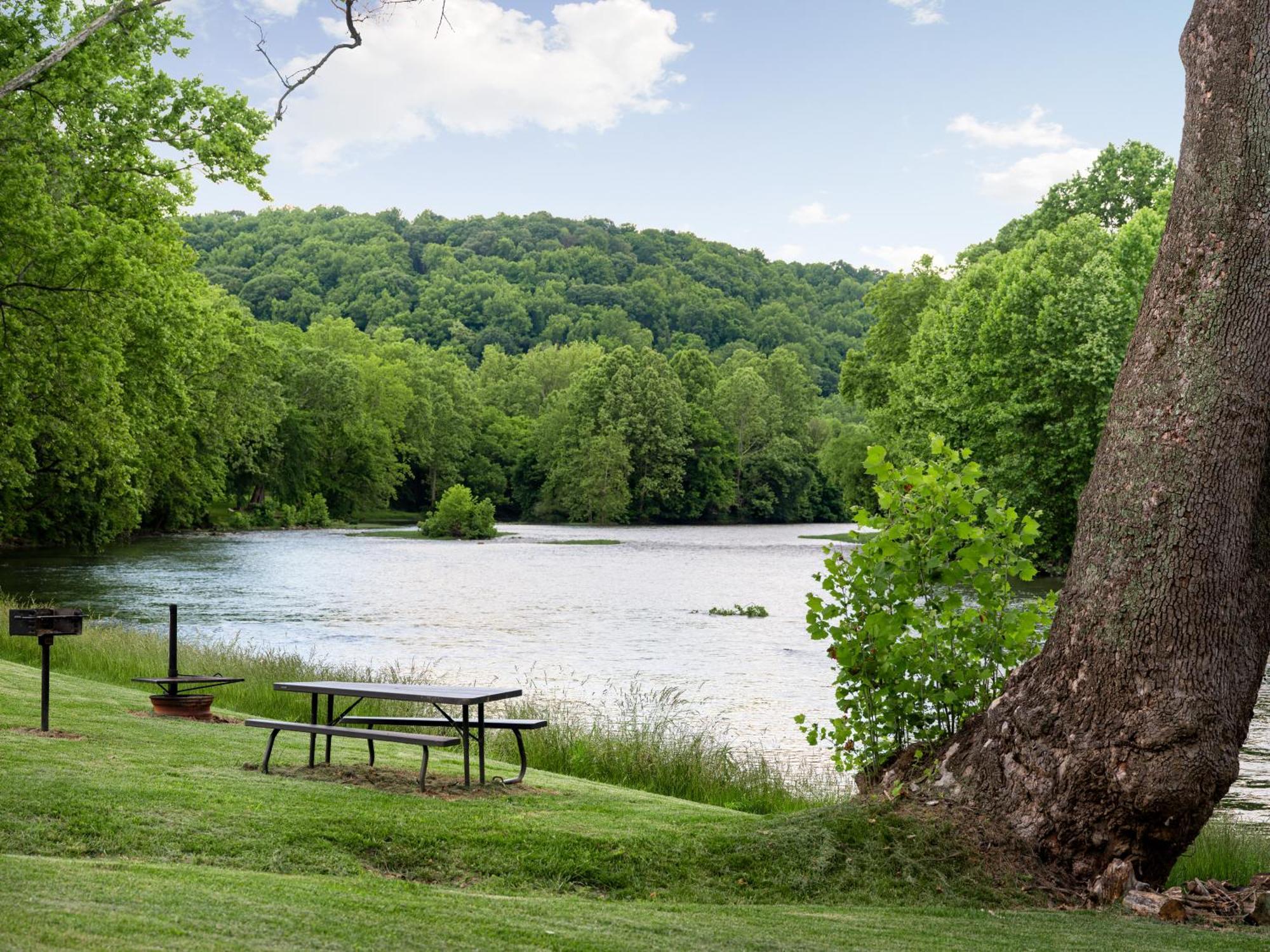 Shenandoah Dog Friendly Cabin With River Access, Hot Tub, Fire Pit, Bbq, Outdoor Dining Шенандоа Экстерьер фото